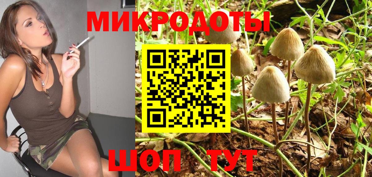 Псилоцибиновые грибы Psilocybine cubensis  Вход с VPN  Галлюциногенные грибы прущие грибы  Кизилюрт 