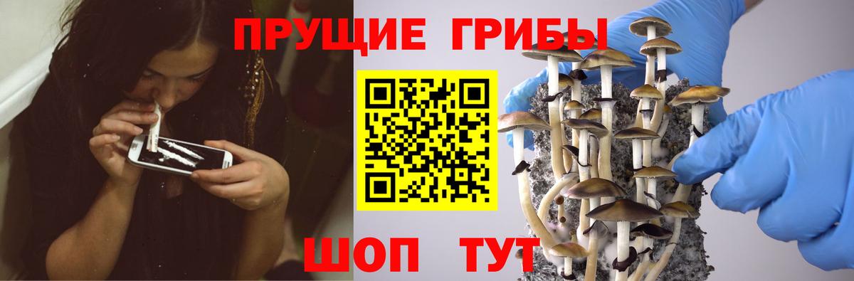 Галлюциногенные грибы мухоморы Кизилюрт